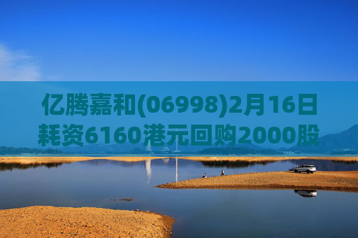 亿腾嘉和(06998)2月16日耗资6160港元回购2000股
