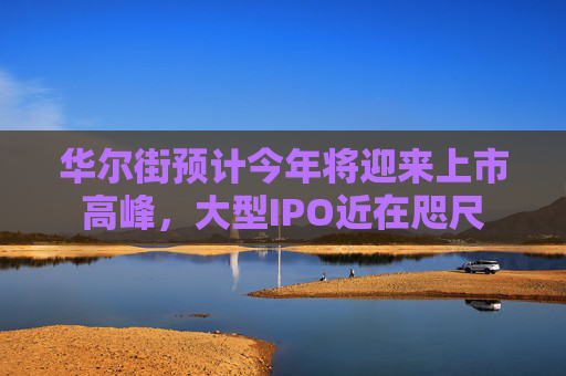 华尔街预计今年将迎来上市高峰，大型IPO近在咫尺