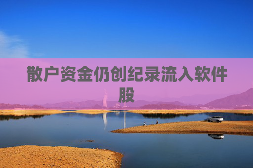 散户资金仍创纪录流入软件股