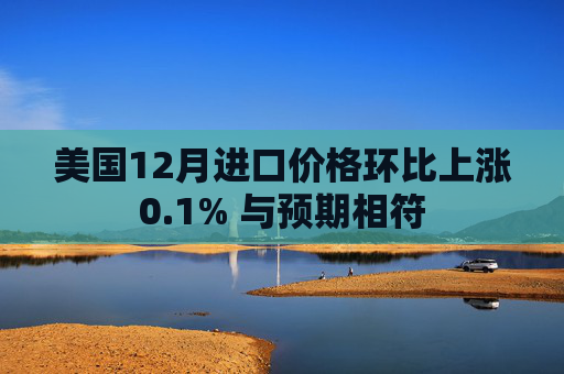 美国12月进口价格环比上涨0.1% 与预期相符