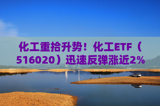 化工重拾升势！化工ETF（516020）迅速反弹涨近2%