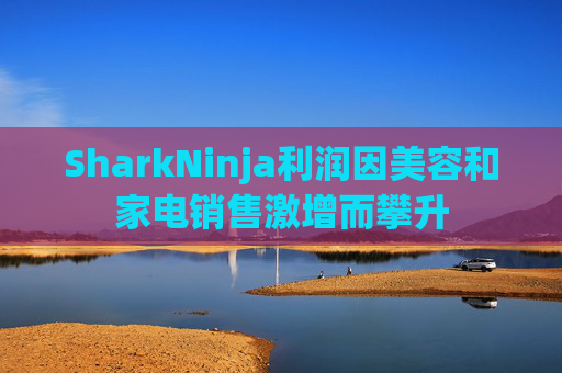 SharkNinja利润因美容和家电销售激增而攀升