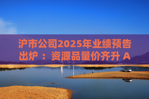 沪市公司2025年业绩预告出炉 ：资源品量价齐升 AI链景气延续