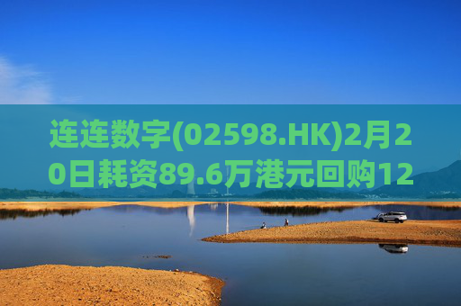 连连数字(02598.HK)2月20日耗资89.6万港元回购12.3万股