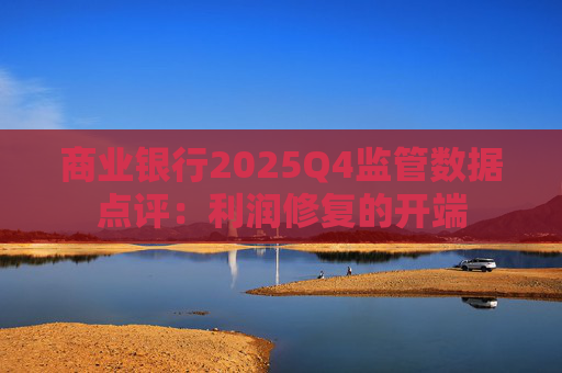 商业银行2025Q4监管数据点评：利润修复的开端