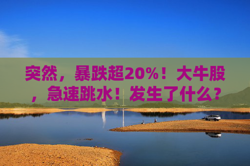 突然，暴跌超20%！大牛股，急速跳水！发生了什么？
