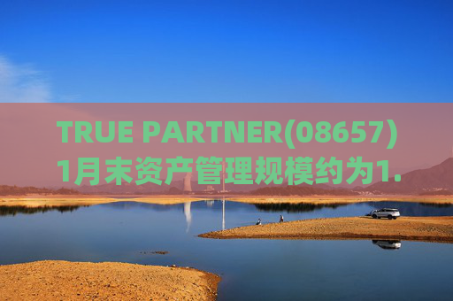 TRUE PARTNER(08657)1月末资产管理规模约为1.71亿美元  第1张