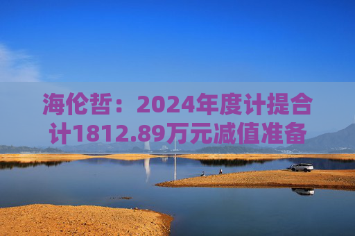 海伦哲：2024年度计提合计1812.89万元减值准备