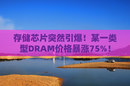 存储芯片突然引爆！某一类型DRAM价格暴涨75%！