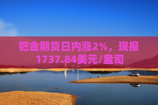 钯金期货日内涨2%，现报1737.84美元/盎司