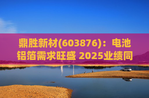 鼎胜新材(603876)：电池铝箔需求旺盛 2025业绩同比高增