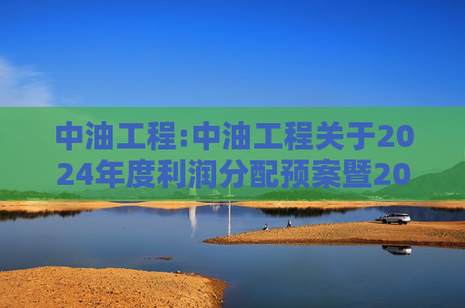中油工程:中油工程关于2024年度利润分配预案暨2025年中期现金分红有关事项授权的公告  第1张