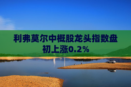 利弗莫尔中概股龙头指数盘初上涨0.2%