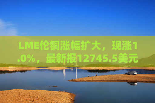 LME伦铜涨幅扩大，现涨1.0%，最新报12745.5美元/吨