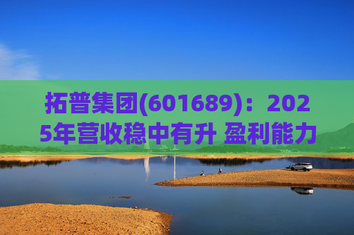 拓普集团(601689)：2025年营收稳中有升 盈利能力短期承压