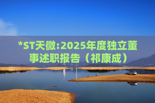 *ST天微:2025年度独立董事述职报告（祁康成）  第1张