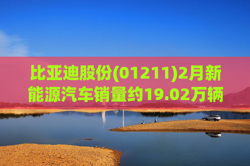 比亚迪股份(01211)2月新能源汽车销量约19.02万辆