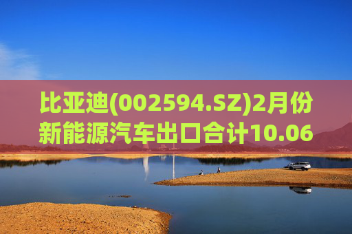 比亚迪(002594.SZ)2月份新能源汽车出口合计10.06万辆  第1张
