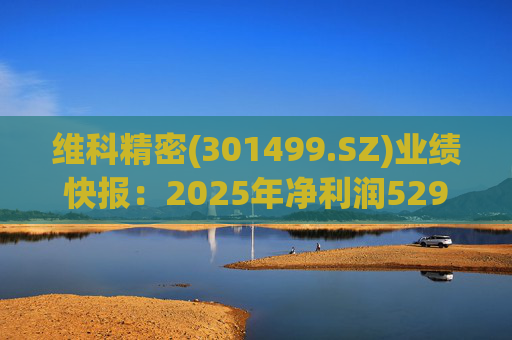 维科精密(301499.SZ)业绩快报:2025年净利润5293.82万元 同比增长16.85% 第1张 维科精密(301499.SZ)业绩快报:2025年净利润5293.82万元 同比增长16.85% 第1张