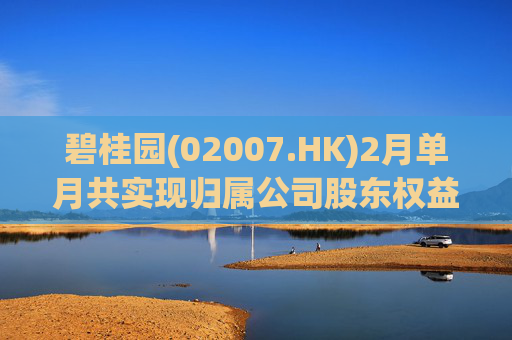 碧桂园(02007.HK)2月单月共实现归属公司股东权益合同销售金额约22.3亿元