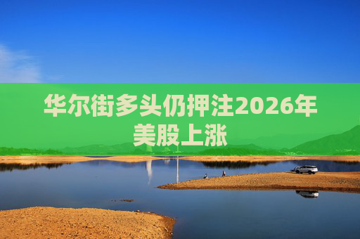 华尔街多头仍押注2026年美股上涨  第1张