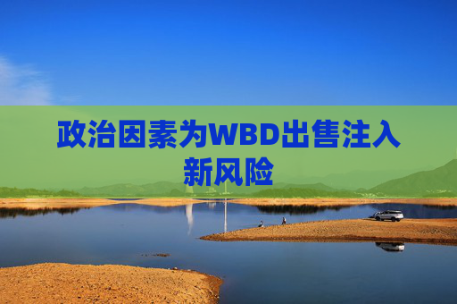 政治因素为WBD出售注入新风险