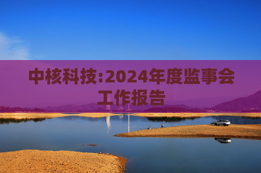 中核科技:2024年度监事会工作报告