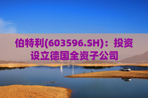 伯特利(603596.SH)：投资设立德国全资子公司