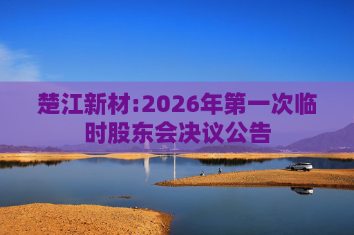 楚江新材:2026年第一次临时股东会决议公告