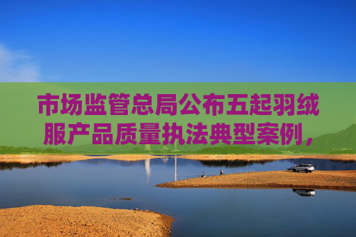 市场监管总局公布五起羽绒服产品质量执法典型案例，涉宁波长坡厚雪、常熟百乐马等公司  第1张