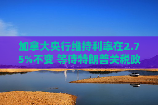 加拿大央行维持利率在2.75%不变 等待特朗普关税政策更加明朗  第1张