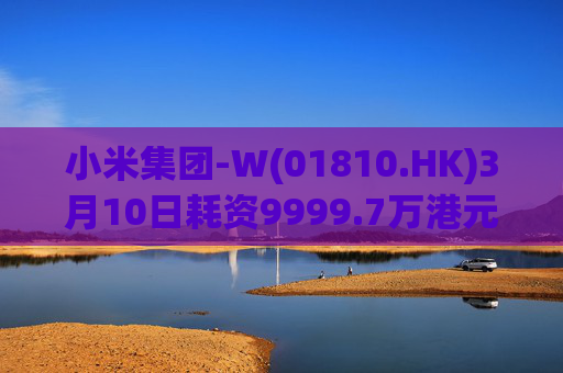 小米集团-W(01810.HK)3月10日耗资9999.7万港元回购297.7万股