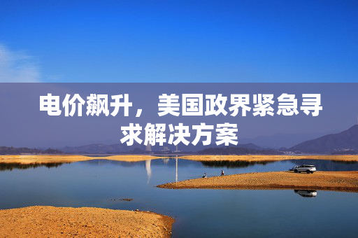 电价飙升，美国政界紧急寻求解决方案