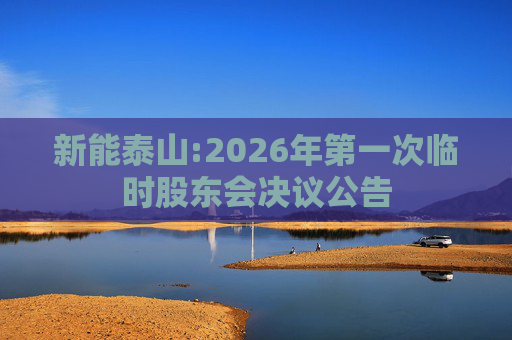 新能泰山:2026年第一次临时股东会决议公告