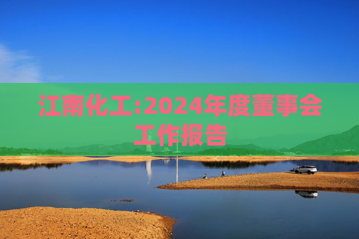 江南化工:2024年度董事会工作报告