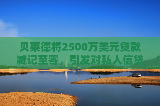 贝莱德将2500万美元贷款减记至零，引发对私人信贷的担忧