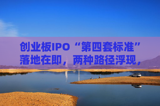 创业板IPO“第四套标准”落地在即，两种路径浮现，新消费回流A股悬念拉满