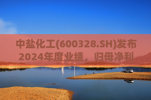 中盐化工(600328.SH)发布2024年度业绩，归母净利润5.19亿元，同比下降56.32%  第1张