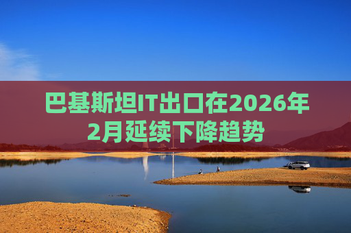 巴基斯坦IT出口在2026年2月延续下降趋势