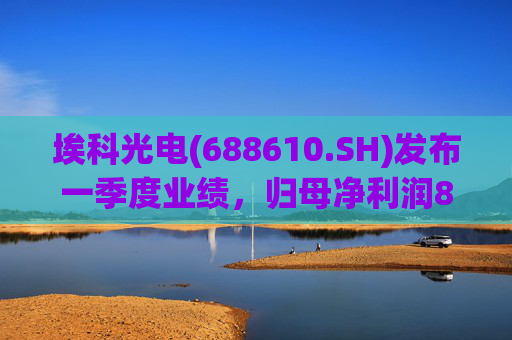 埃科光电(688610.SH)发布一季度业绩,归母净利润862万元,同比下降5.94%