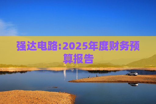 强达电路:2025年度财务预算报告
