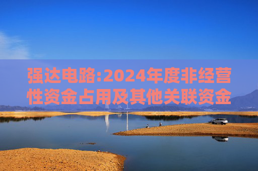 强达电路:2024年度非经营性资金占用及其他关联资金往来情况汇总表