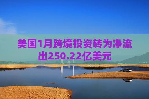 美国1月跨境投资转为净流出250.22亿美元