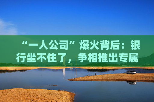 “一人公司”爆火背后：银行坐不住了，争相推出专属金融方案