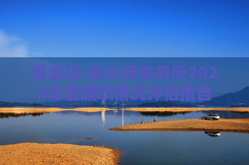 寒武纪:会计师事务所2025年度履职情况评估报告