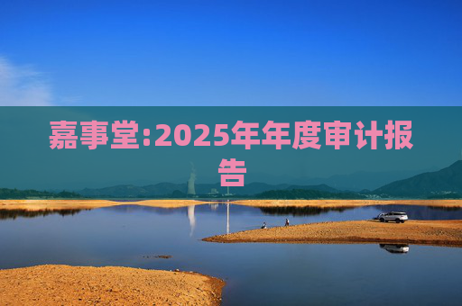 嘉事堂:2025年年度审计报告  第1张