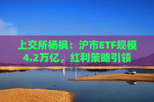 上交所杨枫：沪市ETF规模4.2万亿，红利策略引领