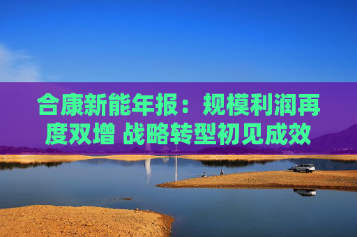 合康新能年报：规模利润再度双增 战略转型初见成效