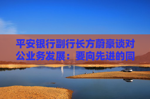 平安银行副行长方蔚豪谈对公业务发展：要向先进的同行多去学习，同时要大快步赶上