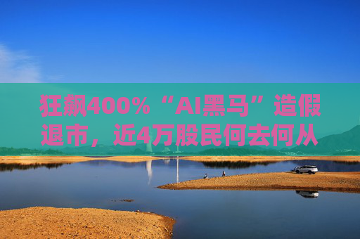 狂飙400%“AI黑马”造假退市，近4万股民何去何从？  第1张